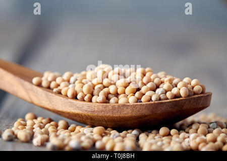 Close up of organic yellow mustard seeds in wooden spoon. Copy space Stock Photo