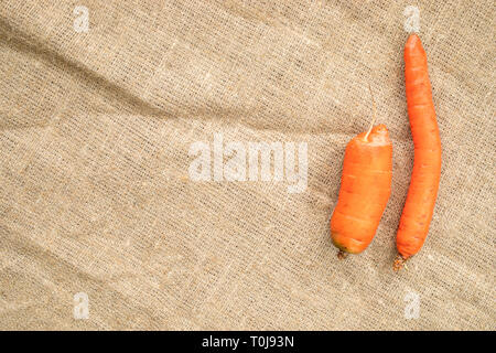Two non-standard ugly carrots: thin crooked and small on burlap .  Stock Photo