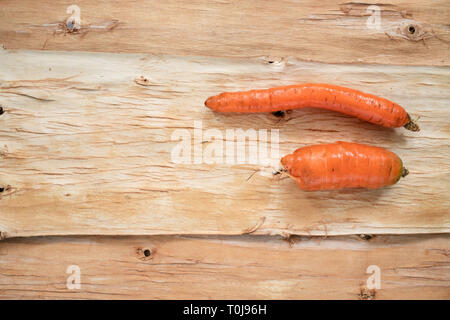 Two washed non-standard carrot are lying horizontally on inverted tree bark. Stock Photo