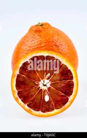 Blood orange, studio admission, Blutorange, Studioaufnahme Stock Photo