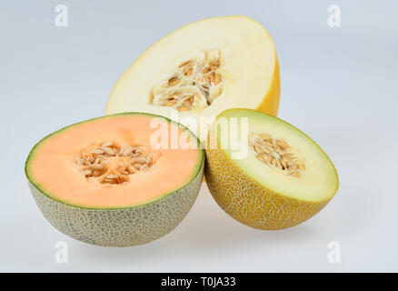 Honeydew melon, Cantaloupe melon, Galia melon, studio admission, Honigmelone, Cantaloupe-Melone, Galia-Melone, Studioaufnahme