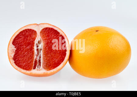 Red-meaty grapefruit, studio admission, Rotfleischige Pampelmuse, Studioaufnahme Stock Photo