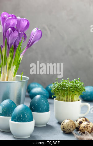 Easter composition - eggs naturally dyed with the help of a red cabbage, quail eggs, crocuses and a cress in a cup on a gray concrete background Stock Photo