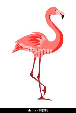 Illustration of pink flamingo. Tropical exotic bird on white background. Stock Vector