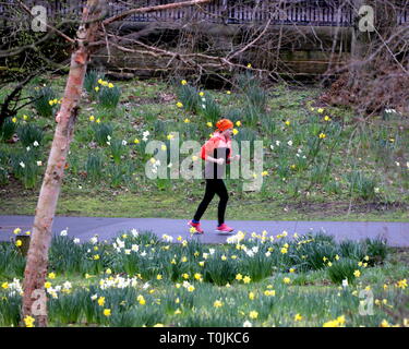 Glasgow, Scotland, UK, 20th March, 2019, UK Weather: Spring Equinox in the Botanic gardens amongst the flora. Credit Gerard Ferry/Alamy Live News Stock Photo