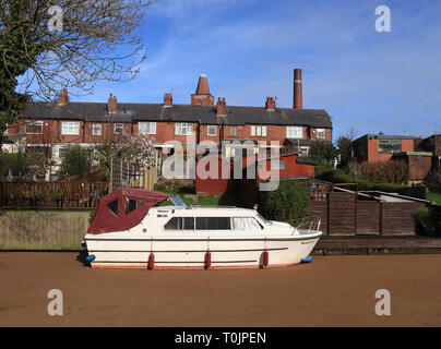 Preston, Lancashire, UK. 20th Mar 2019. Canal appears to turn to sand Preston, England.  A 50 metre length of the Lancaster canal in Preston looks like it has been in filled with sand and is solid enough to walk on.  This boat, moored at the bottom of a garden looks like it’s beached on the 20.3.19. A non-native species of water fern called Azolla (Azolla filiculoides) has grown in the Lancaster canal along the length between Roebuck Street and Blackpool Road.   Credit: Colin Wareing/Alamy Live News Stock Photo