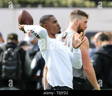 Former Utah Utah quarter back Troy Williams (1) throwing during the USC Trojans Pro Day at the Cromwell Field and Loker Stadium on Wednesday March 20, 2019 (Photo by Jevone Moore) Stock Photo