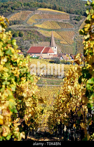 Europe, France, Alsace, vineyards in autumn and Niedermorschwihr. Stock Photo