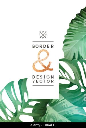 A selection of tropical leaves on a frame design background. Vector illustration. Stock Vector