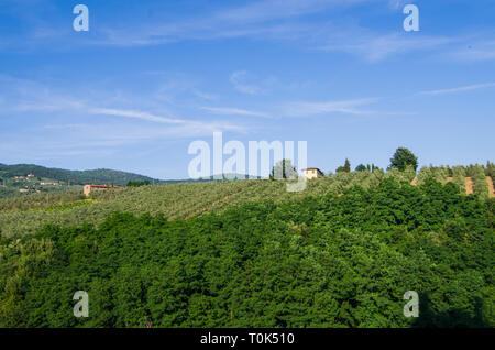 green Tuscan countryside with vineyards, olive groves, woods, farms and town under the blue sky Stock Photo