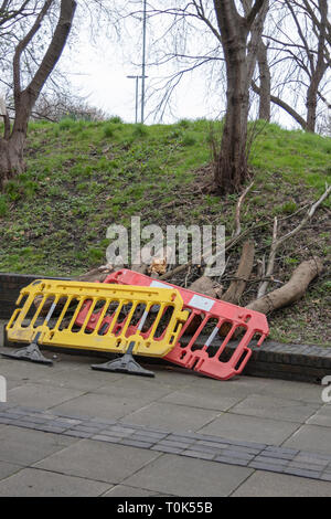 Barriers warning of fallen trees Stock Photo