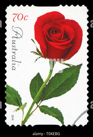 AUSTRALIA - CIRCA 2014: A Stamp printed in AUSTRALIA shows the Red Rose, Greetings issue, circa 2014. Stock Photo