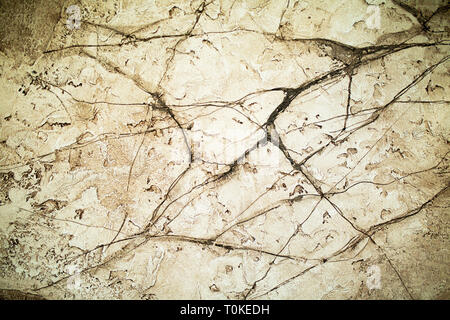 Textured background. Decorative plaster walls, external decoration of facade. Texture of beige. grunge background with space for your design Stock Photo