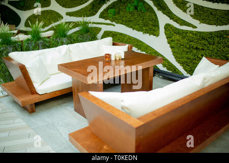 Two sofas in the interior of the living room with a table and wall decoration of plants. Real photo Stock Photo