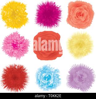 Set of flower design element, part 2, vector illustration Stock Vector