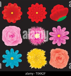 Set of flower design element, part 4, vector illustration Stock Vector