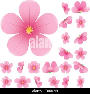 Cherry blossom, flowers of sakura, set, pink, flowers collection,vector illustration Stock Vector
