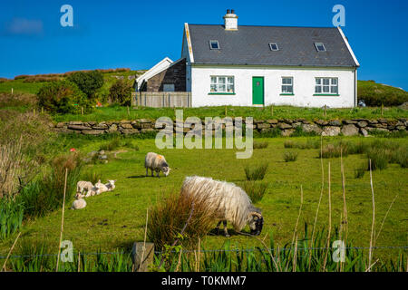 Cottage on Valentia Island, Co Kerry, Ireland Stock Photo