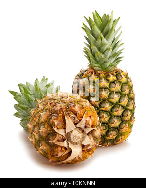 pineapple path isolated Stock Photo
