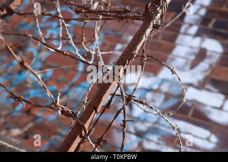 sheffield barbed wire