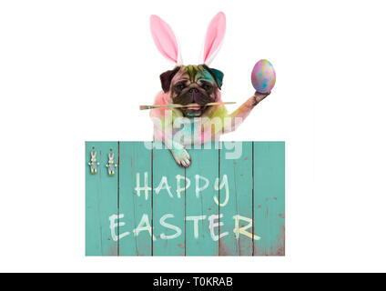 colorful easter pug dog bunny painting easter eggs with paintbrush, hanging on vintage wooden sign with text happy easter, isolated on white backgroun Stock Photo
