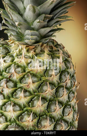 Close-up of a pineapple with its green leaves Stock Photo