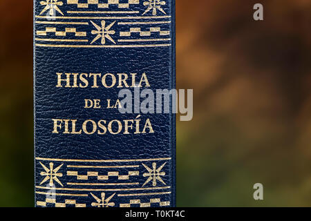 Back of the book history of philosophy bound in leather with the golden title Stock Photo