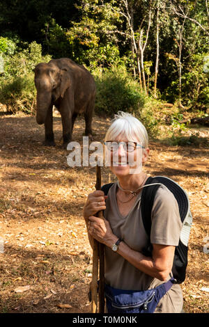 Cambodia, Mondulkiri Province, Sen Monorom, Elephant Valley Project, smiling female visitor close to former working elephant in forest clearing Stock Photo