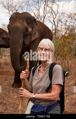 Cambodia, Mondulkiri Province, Sen Monorom, Elephant Valley Project, female tourist, posing with former working elephants Stock Photo