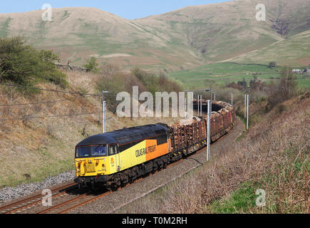 Colas 56094 heads past Lowgill with 6C37 Carlisle to chirk log train Stock Photo