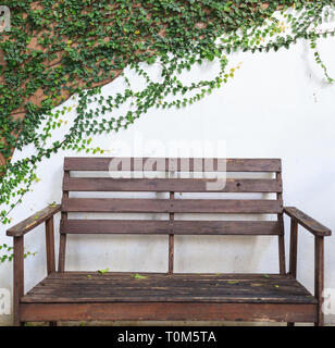 Wooden Bench on white wall covered with Climbing fig (creeping fig, Ficus pumila) leaves. Ornamental Garden, Landscaping Architecture. Foliage, Garden Stock Photo