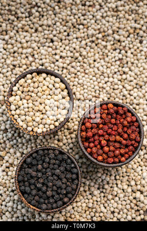 Organic kampot white red and black pepper corns in natural rustic style traditional wood bowls in cambodia on white peppercorn background Stock Photo