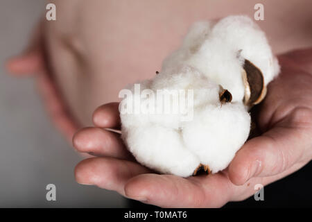 Young pregnant between 30 and 35 years old woman keeps cotton buds. Closeup Stock Photo