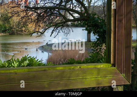 View through large hollow picture frame of trees and birds in pond at Leases Park in Newcastle, England Stock Photo