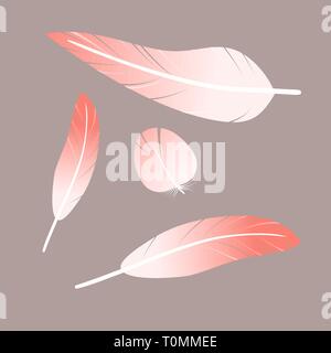 Pink white flamingo feathers collection, set of different falling fluffy twirled feathers, Stock Vector