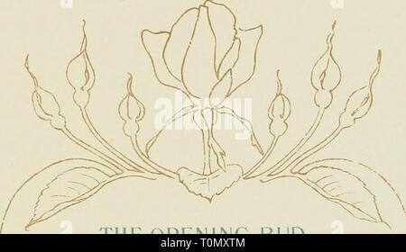 Dream roses, with madrigals (1897) Stock Photo