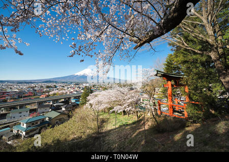 Mt. Fuji and Cherry Blossoms Stock Photo