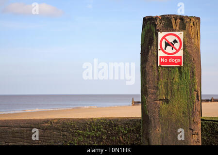 A No Dogs sign on a breakwater on a North Norfolk beach at Bacton-on-Sea, Norfolk, England, United Kingdom, Europe. Stock Photo