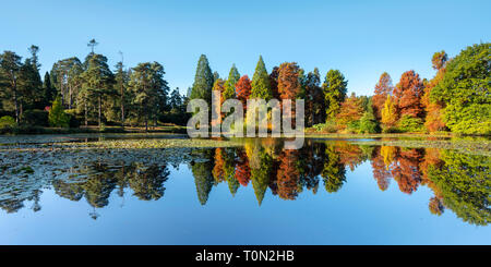 Autumn reflections at Bedgebury National Pinetum and Forest in Kent. Stock Photo