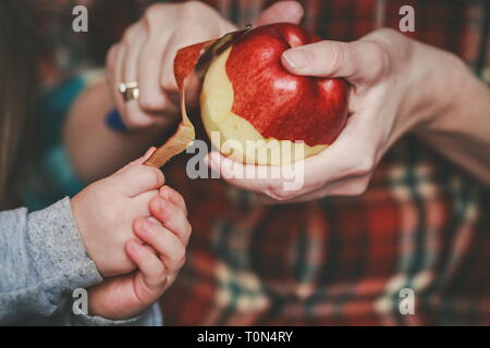 red juicy apples in their hands Stock Photo