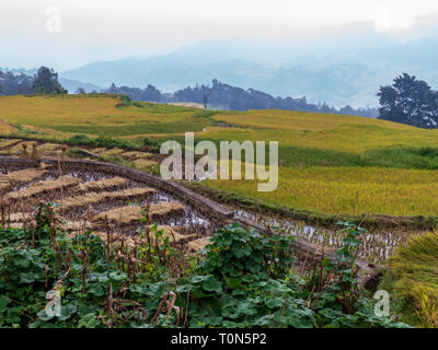 Rice terraces in Yunnan Province, China Stock Photo