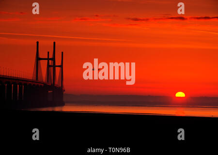 Great Britain, Wales, River Severn.  Severn Bridge and geese at sunrise, straddling one of the largest tidal ranges in the world.