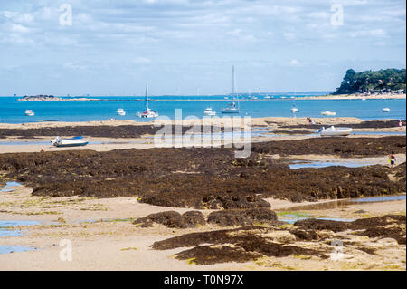 view on the beach of le petit vieil on the isle of Noirmoutier in summertime with some people on it Stock Photo