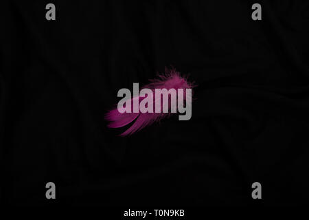 Pink feather on a black background.Black textiles, background and bird feather Stock Photo
