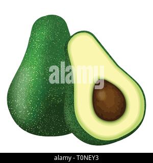 Whole and cut in half avocado on white background, vector illustration Stock Vector