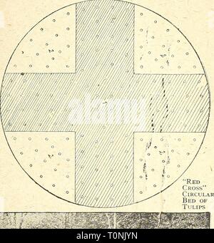 Dreer's autumn catalogue 1924 (1924) Dreer's autumn catalogue 1924  dreersautumncata1924henr Year: 1924  /flEMSyA-BREEl BULE5 '°^mLL PLANTlNe; &gt;HIHIIE1J&gt;HII1^ Collections of Single Early Tulips for Beds What we say on page 5 about the Hyacinth as a bedding plant is equally true of the Tulip. Many brilliant color efiects are possible with Tulips that cannot be produced with any other plant. The culture is the same as for the Hyacinths, only, being perfectly hardy, they do not require to be covered so heavily through the winter, but merely enough to keep the action of the frost from throwi Stock Photo