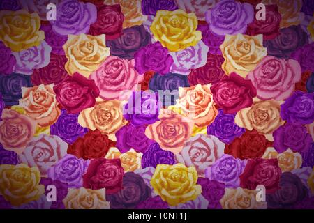 A lot of beautiful bright colorful rosebuds, wide detailed background Stock Vector