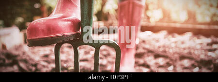 Low section of woman wearing pink rubber boot standing with gardening fork on dirt Stock Photo