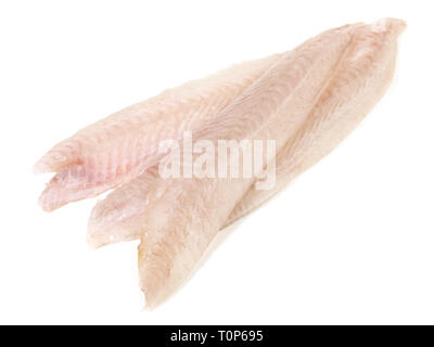 Sole Fillet - Flatfish on white Background Stock Photo