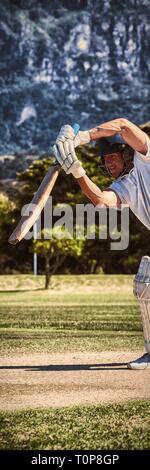 Cricket player playing on field during sunny day Stock Photo
